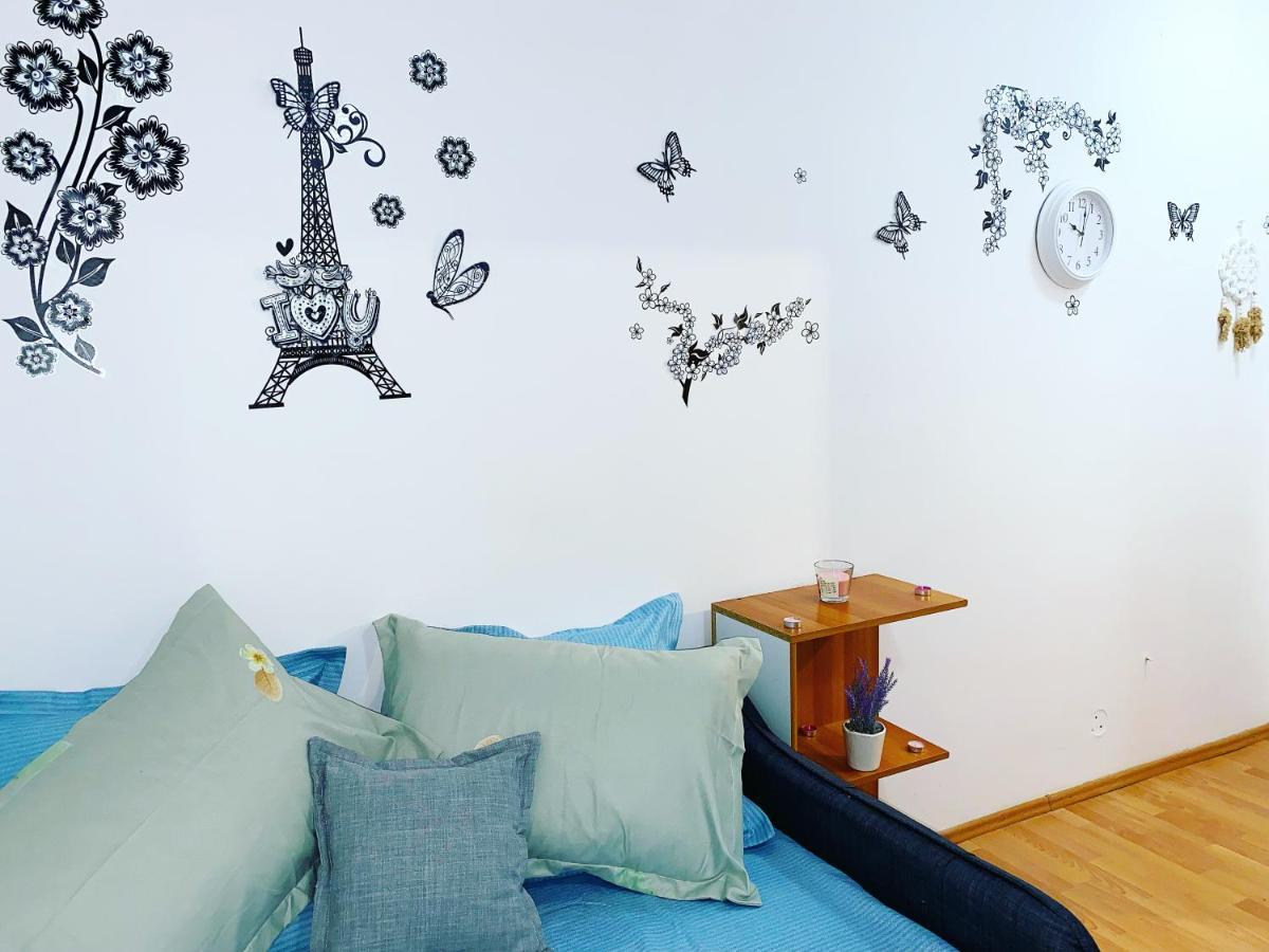 Casa Andu Centru Apartment
