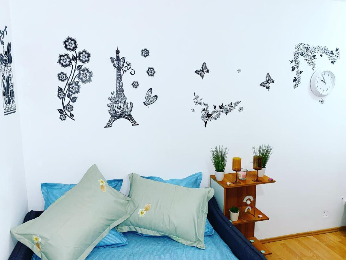Casa Andu Centru Apartment