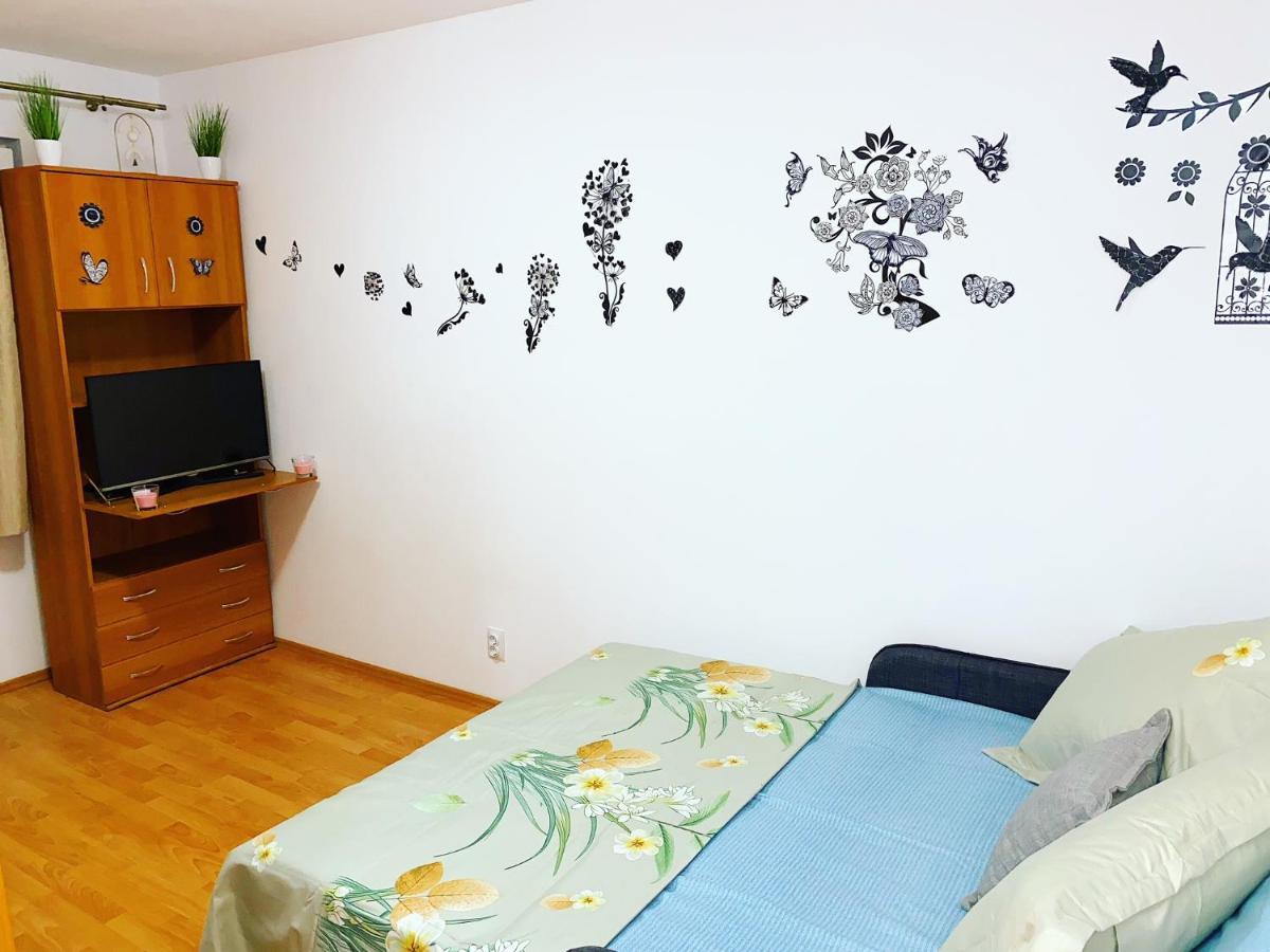 Casa Andu Centru Apartment *