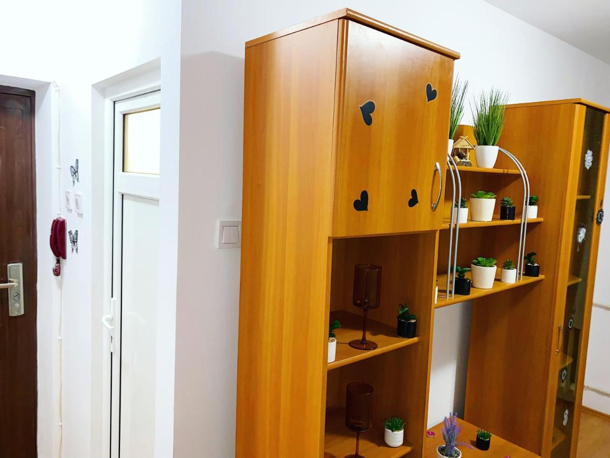Apartment Casa Andu Centru Bucharest