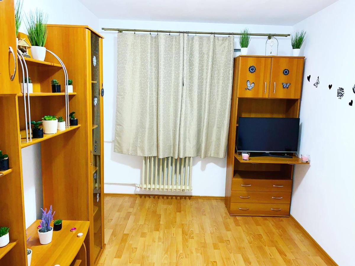 Casa Andu Centru Apartment