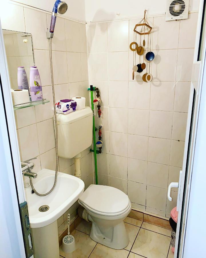 Casa Andu Centru Apartment