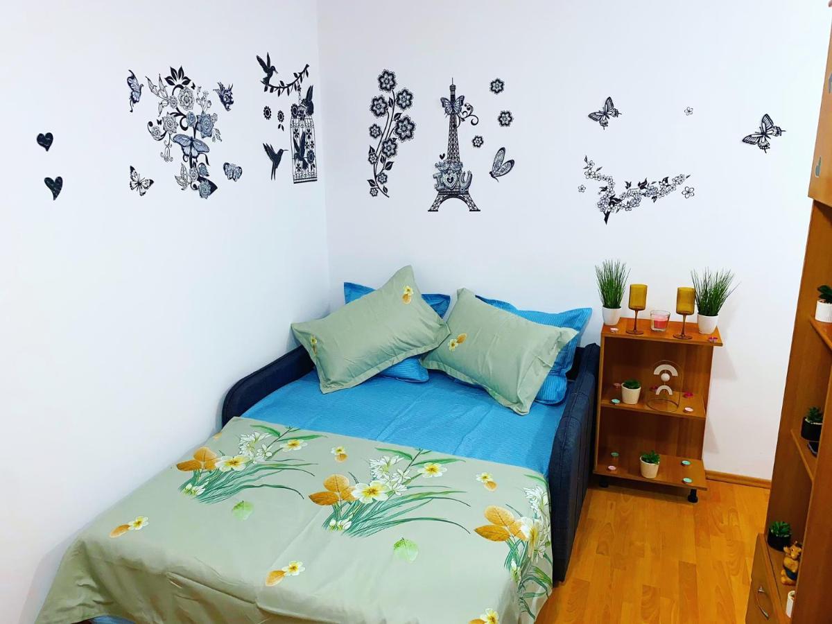 Casa Andu Centru Apartment *