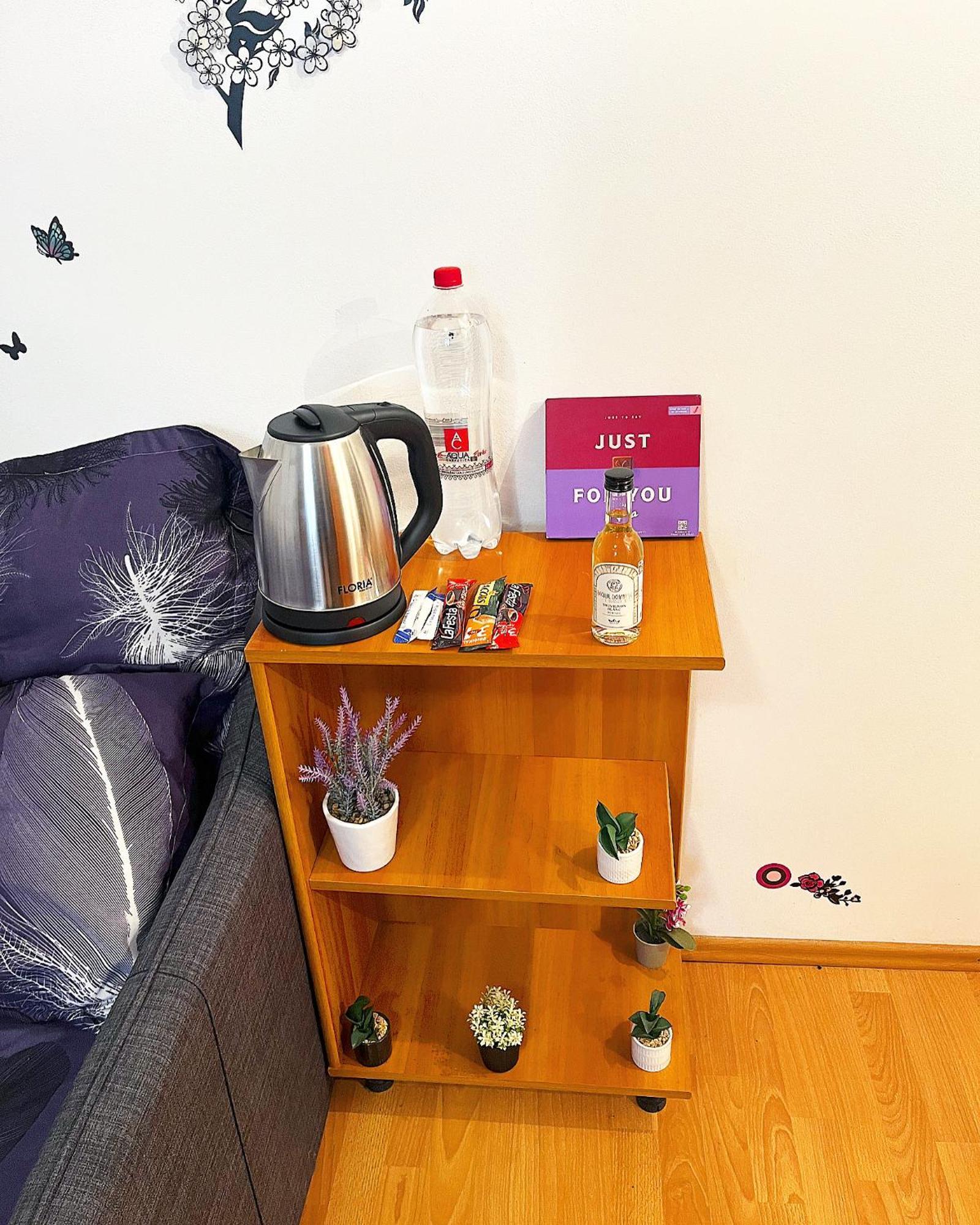 Casa Andu Centru Apartment